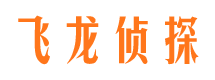 凤台市婚姻调查